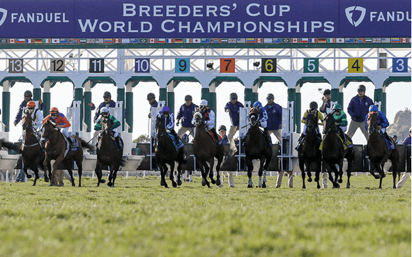Breeders' Cup Betting Tips - Day 2