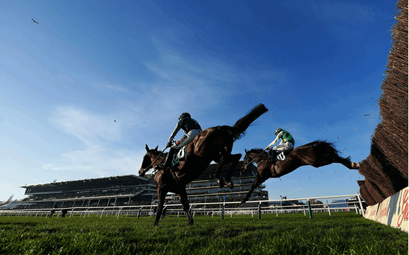 Cheltenham Festival Trials Day Betting Tips 