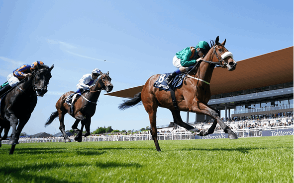Alleged Stakes Day Betting Tips - Curragh