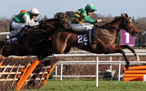 Dublin Racing Festival Betting Tips – Day 1, The Irish Gold Cup