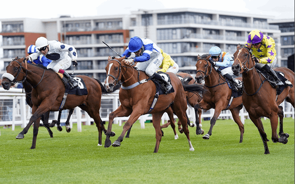 Super Sprint Stakes Betting Tips