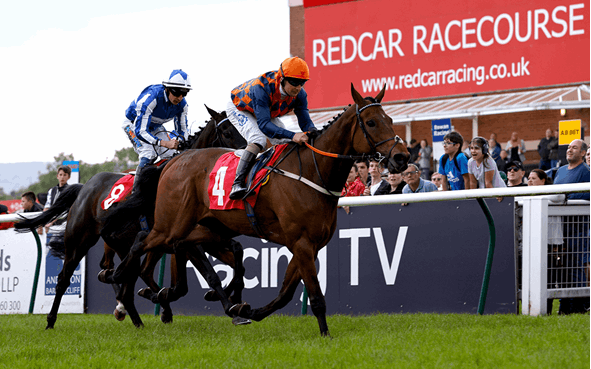 Two Year Old Trophy Betting Tips