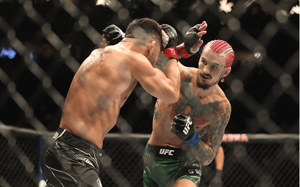 UFC 299 Betting Tips