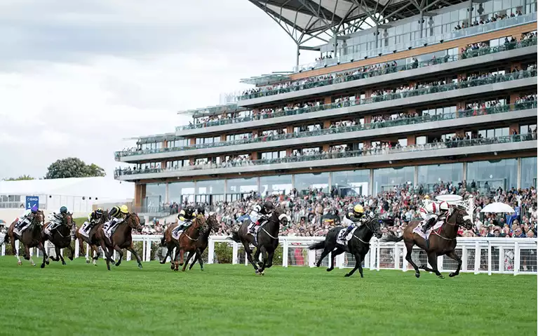 Clarence House Chase Raceday Betting Tips - Ascot