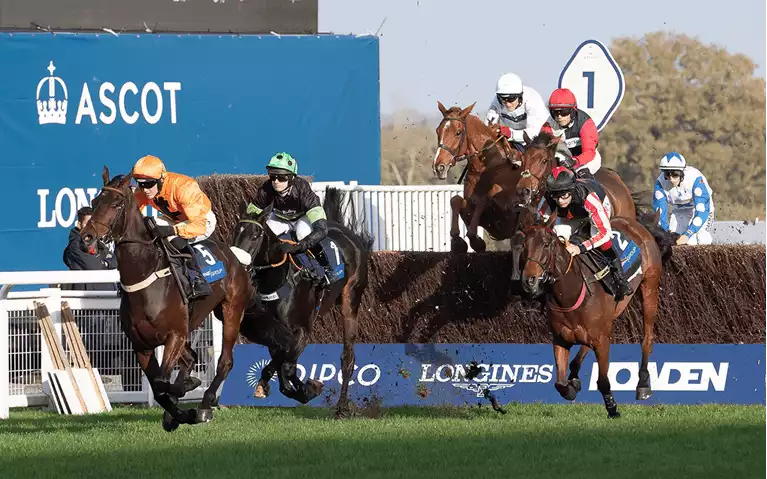 Ascot November Racing Weekend Betting Tips