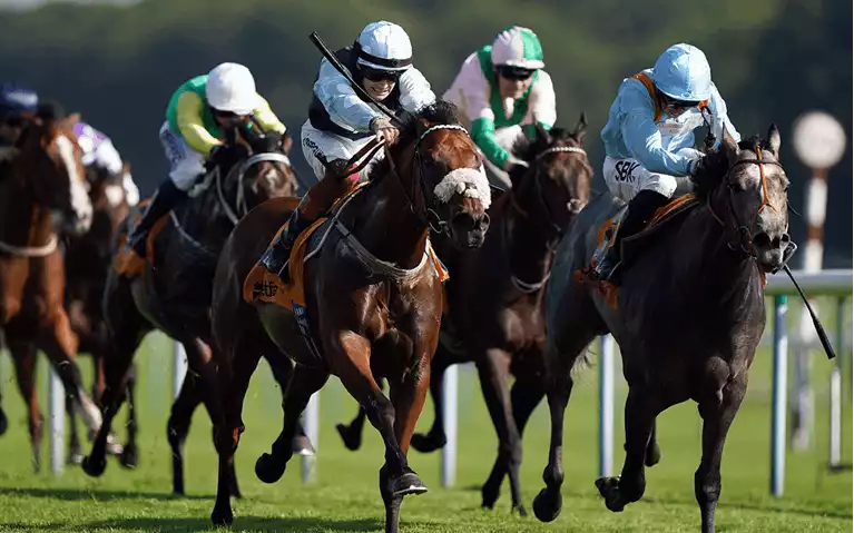 Betfair Chase Betting Tips