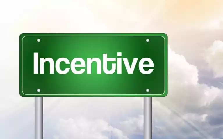 Introduction The Incentive Dilemma