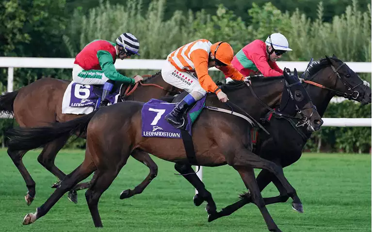 Leopardstown Dublin Racing Festival Betting Tips – Irish Champion Hurdle Day