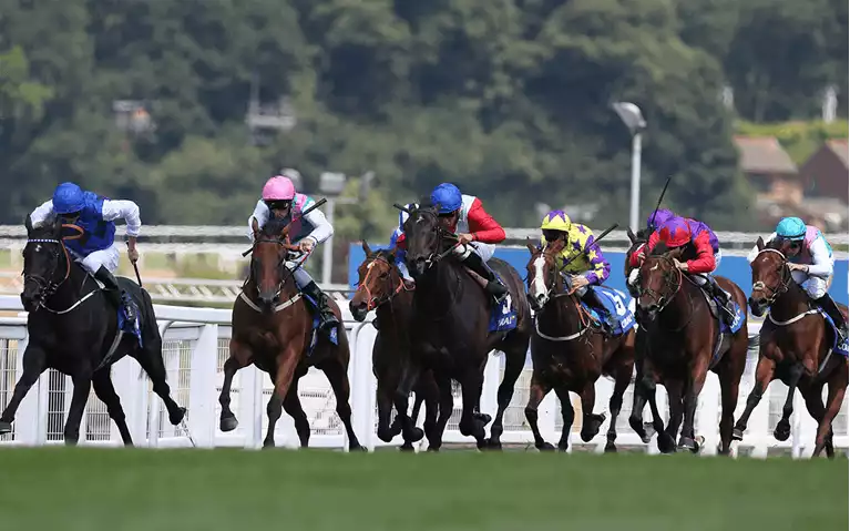 Imperial Cup day Betting Tips - Sandown, Saturday