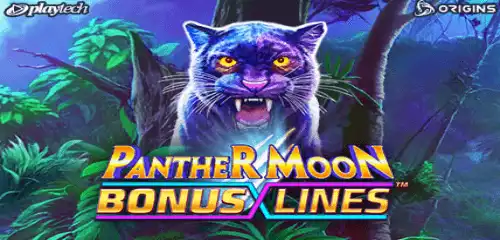 500x240