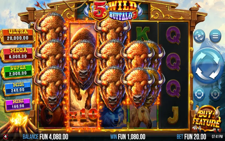 5 Wild Buffalo 3 - Buffalo Thunder
