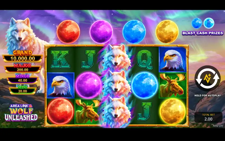 Area Link Wolf Unleashed - RTP and Wagering