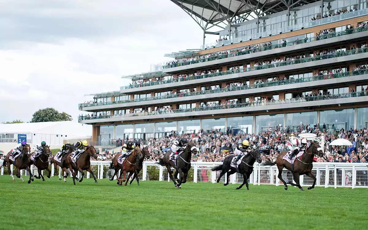 Clarence House Chase Raceday Betting Tips - Ascot