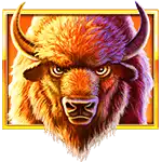 Buffalo