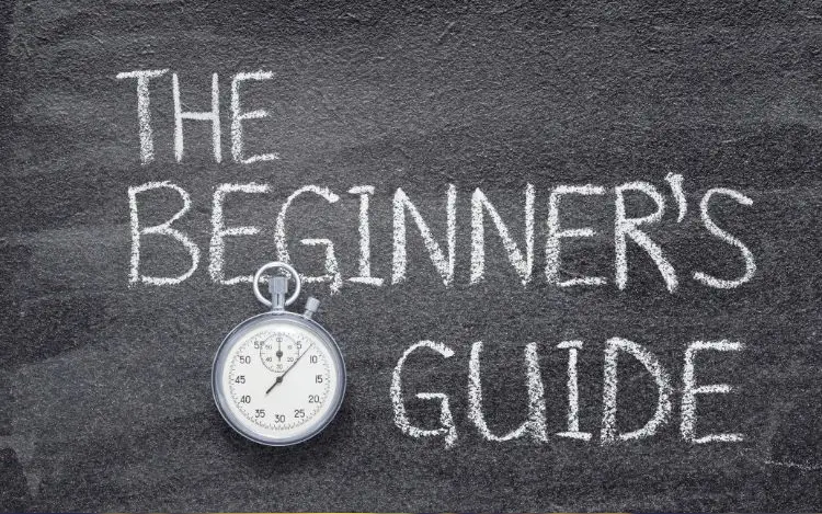 Bankroll Management for Beginners