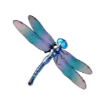 Big Bass Bonanza Dragonfly Symbol