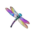 Big Bass Reel Repeat - Dragonfly Symbol