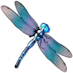 Big Bass Splash Dragonfly Symbol
