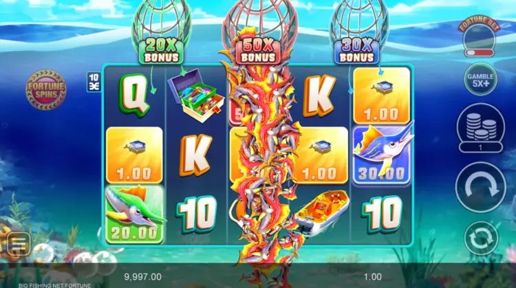 Big Fishing Net Fortune Features