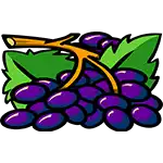Big Wheel - Grapes Symbol