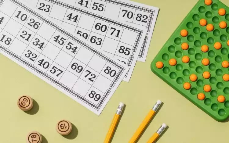 Bingo Goes DIY