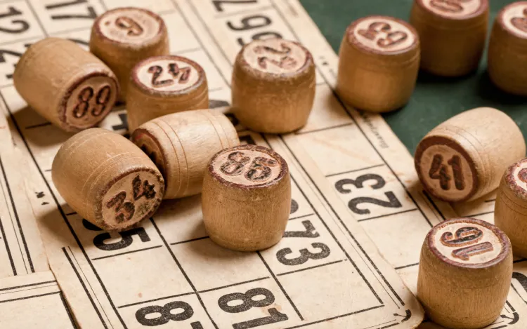 Bingo Lingo