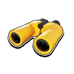 Binocular