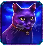 Madame Destiny Megaways - Black Cat Symbol
