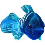 Splashtastic! - Blue Fish Symbol
