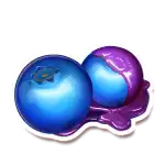 Blueberries