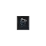 Bone Fragment