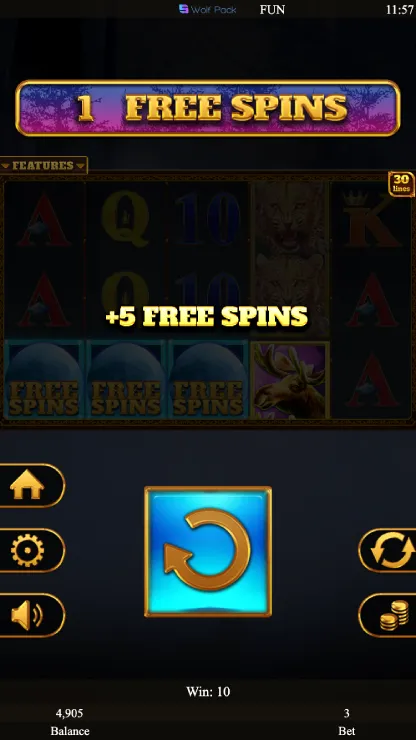 Bonus