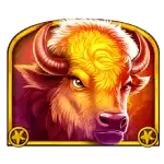 Wolf Gold 4 Pack - Buffalo Symbol