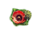 CULT - Poppy Symbol