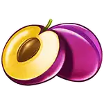 Cash Pump - Plum