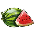 Cash Pump - Watermelon