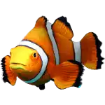 Splashtastic! - Clown Fish Symbol