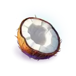 Your Own Island - Coconut Symbol