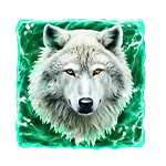 Coinfall The Big Freeze - Wolf Symbol