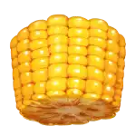 Corn Cob