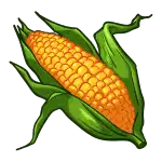Corn