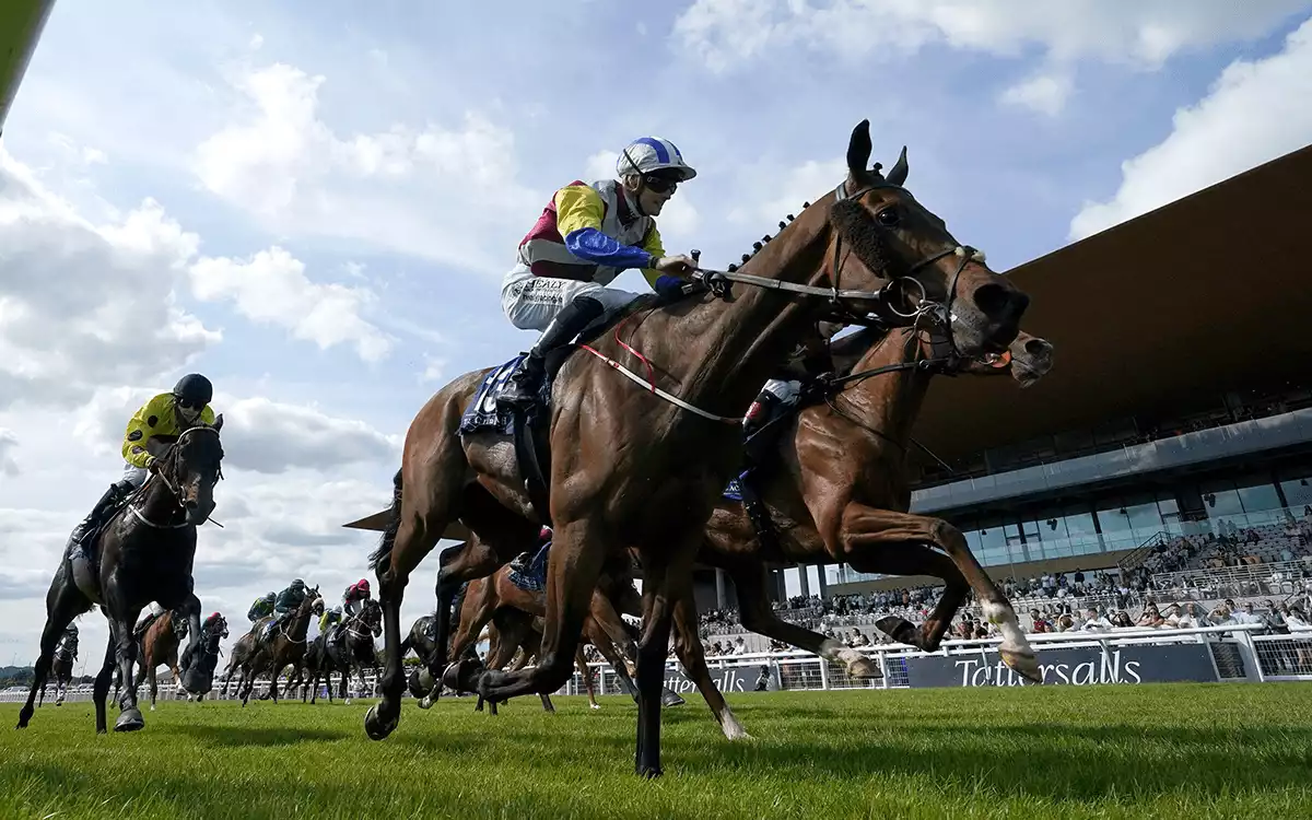Irish 2000 Guineas Betting Tips