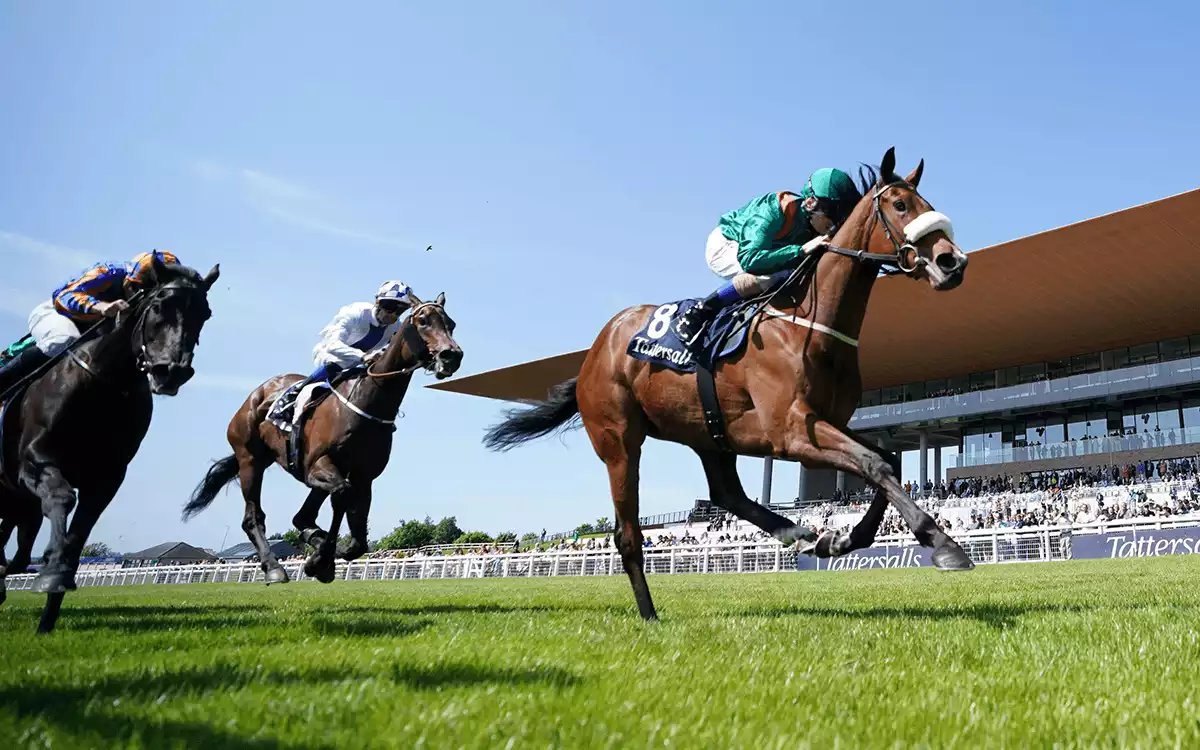Alleged Stakes Day Betting Tips - Curragh