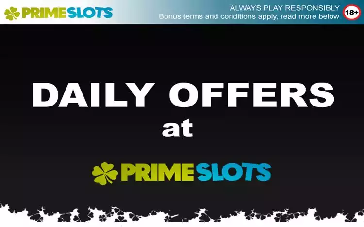 DAILY OFFERS