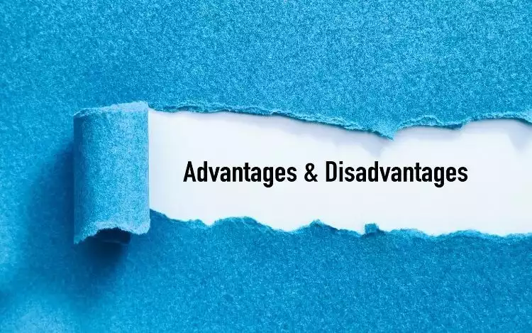 Disadvantages and Risks