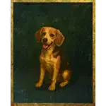 Disorder - Dog Symbol