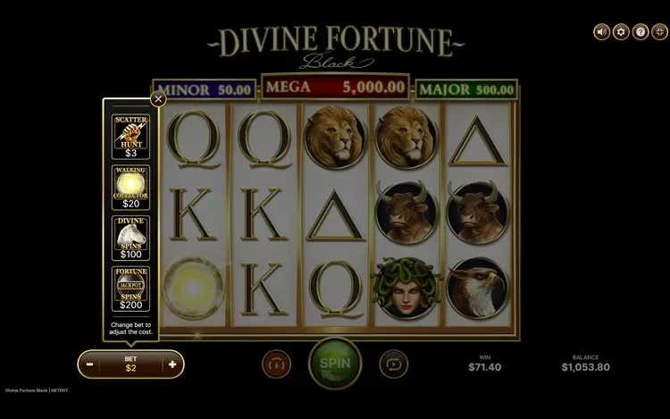 Divine Fortune Black - Elevate Feature