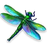 Big Catch Even Bigger Bass 2 - Dragonfly Symbol