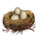 Duck Hunters - Duck Eggs Symbol
