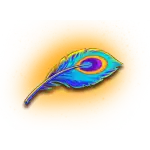 Feather